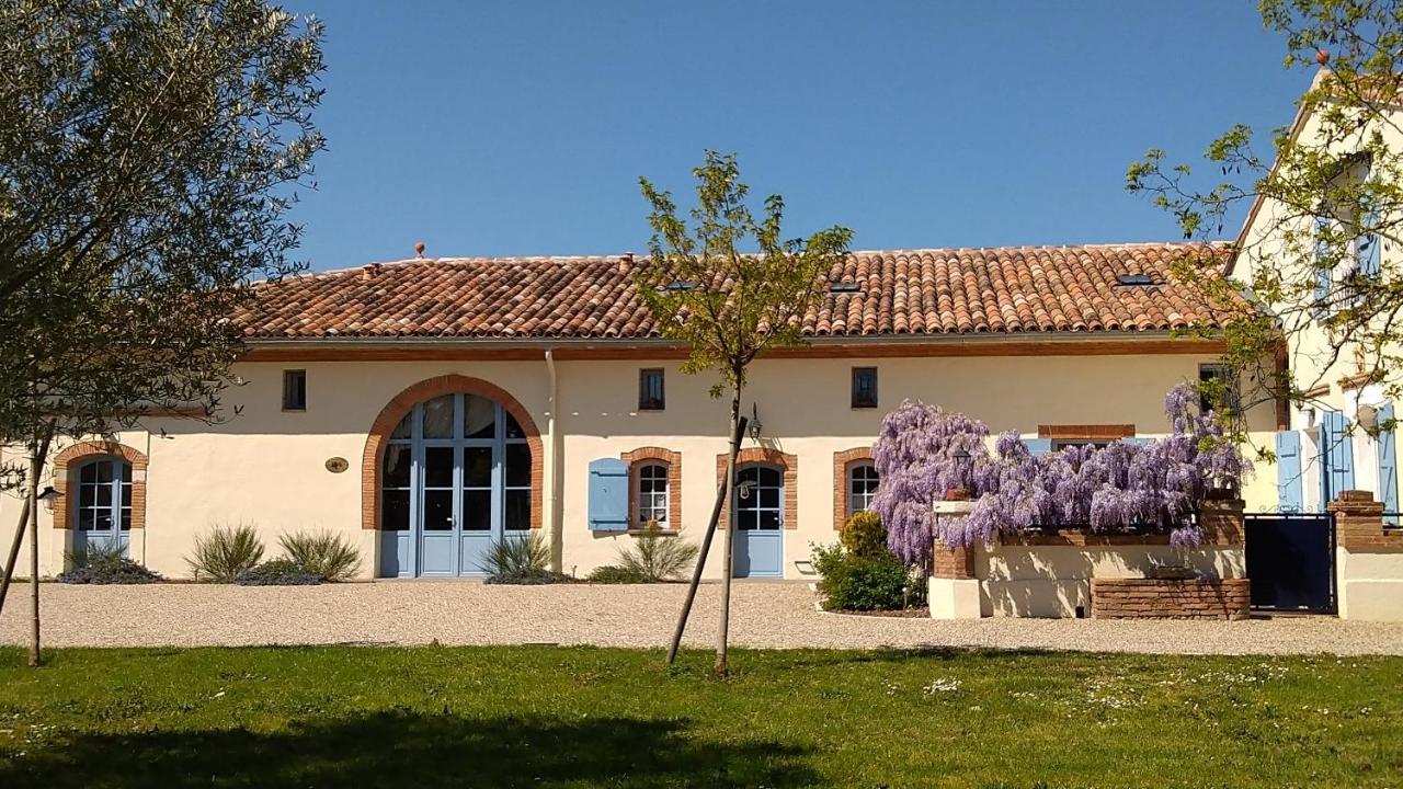 Le Clos Du Cedre Launac Dış mekan fotoğraf