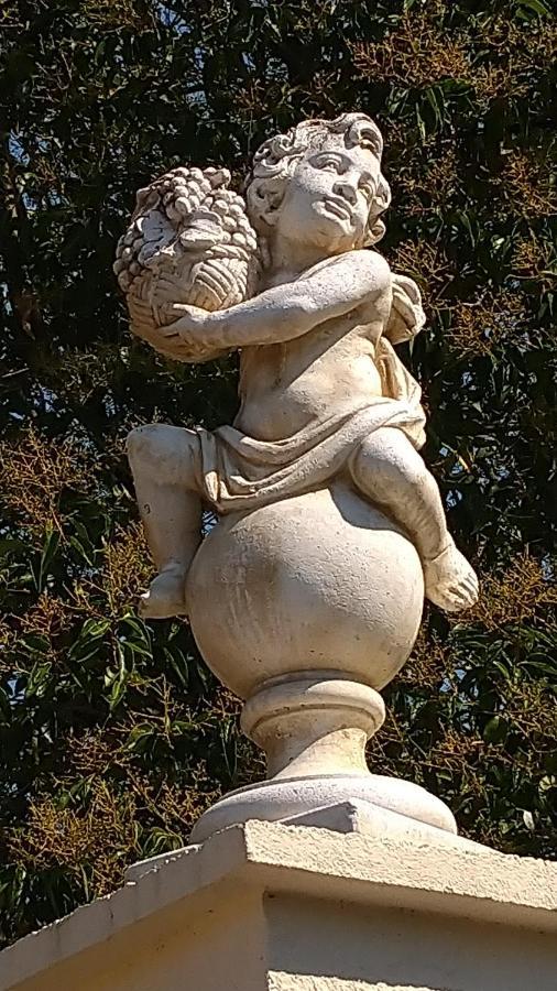Le Clos Du Cedre Launac Dış mekan fotoğraf