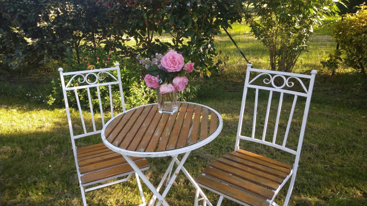 Le Clos Du Cedre Launac Dış mekan fotoğraf